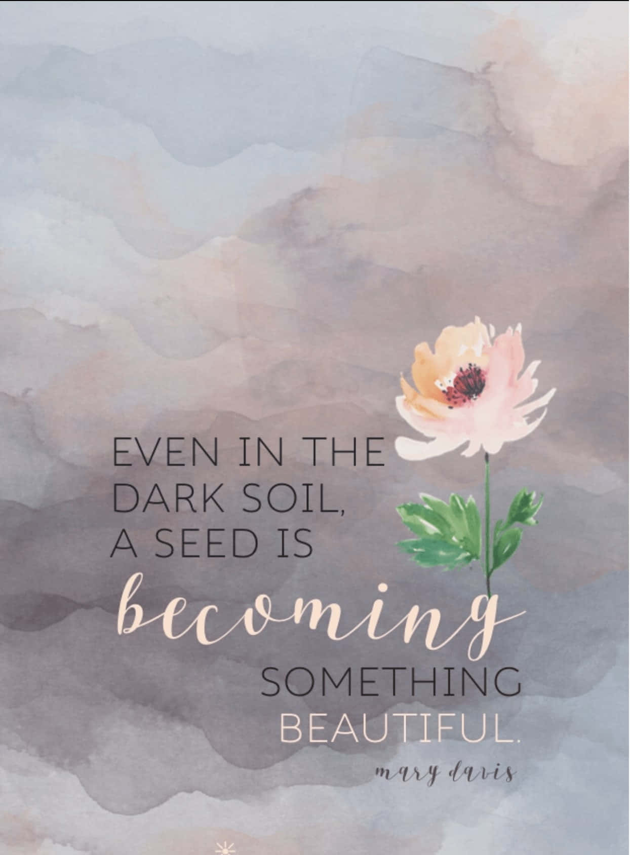 New Testament, watercolor flower, soft gray and mauve gradient, HD Phone Wallpaper