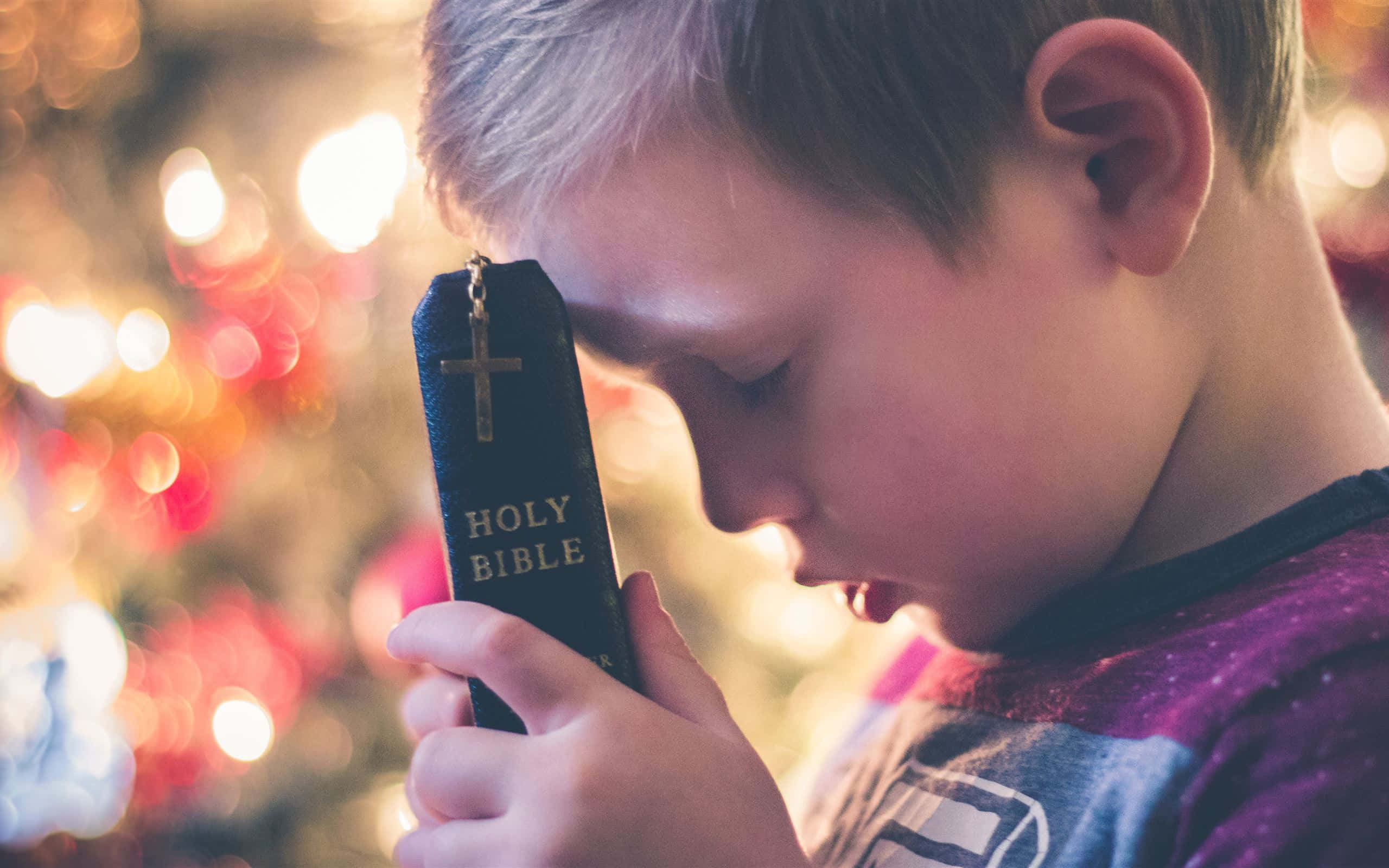 little child, holy bible, black Holy Bible, 2K Desktop Wallpaper