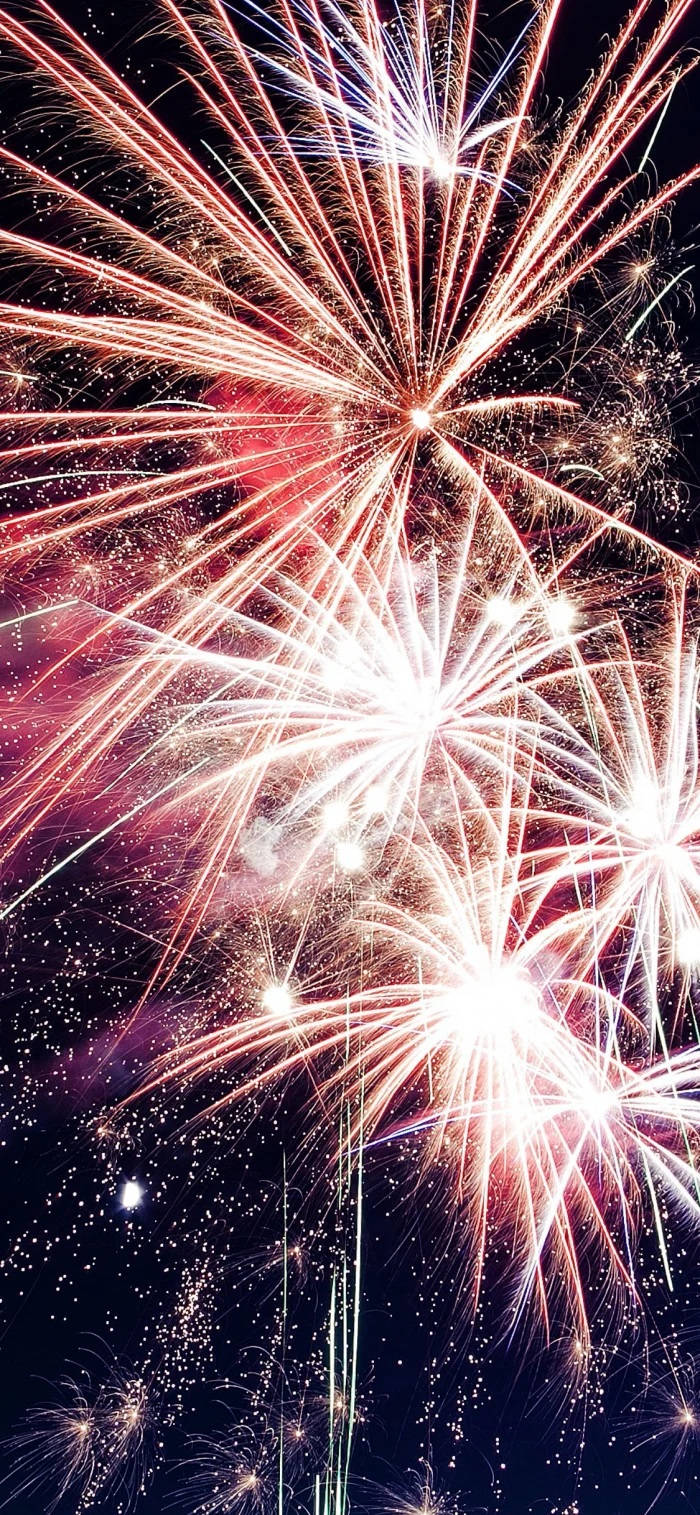 Peony, New Years Eve, fireworks, HD Phone Wallpaper