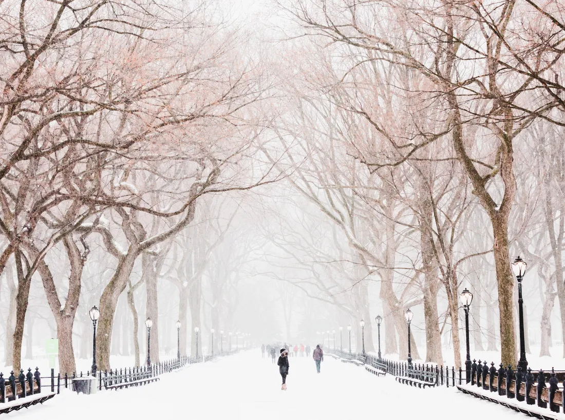 New York Aesthetic