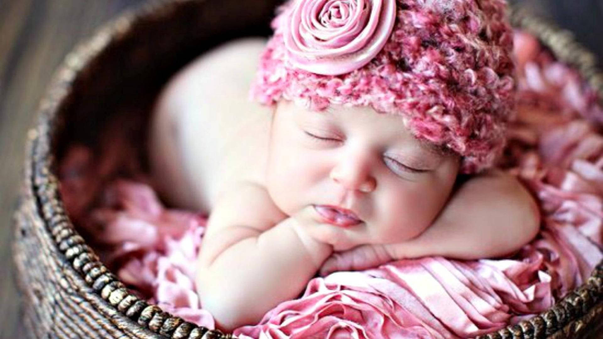 newborn baby, pink flower, woven basket, Full HD Desktop Wallpaper