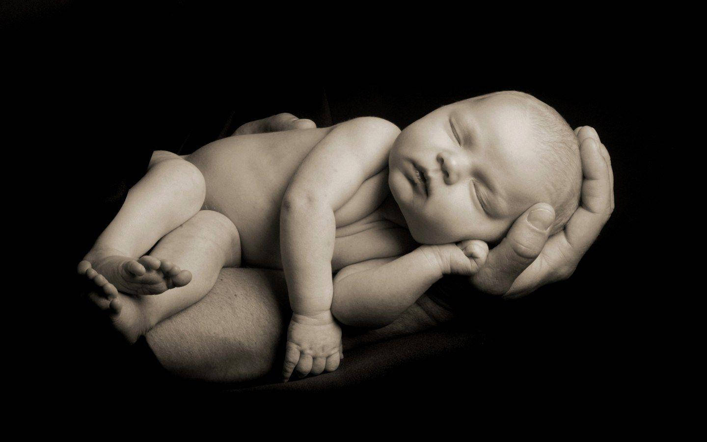 tranquil newborn, calm sleep, adult's hand, HD Desktop Wallpaper
