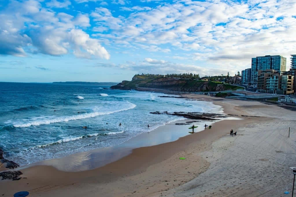 Newcastle Beach, Australia, surfing, SD Desktop Wallpaper