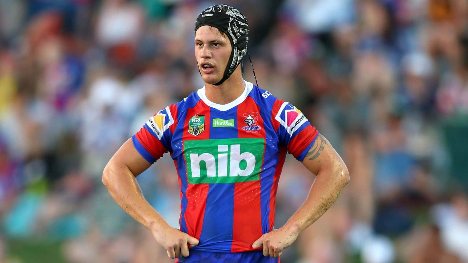 Newcastle Knights, red and blue striped jersey, rugby league player, Full HD Desktop Wallpaper