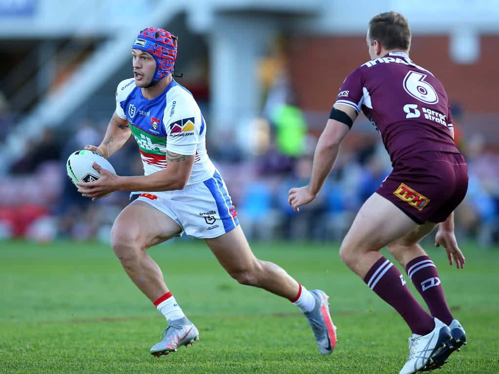 Newcastle Knights, blue and white, maroon, SD Desktop Wallpaper