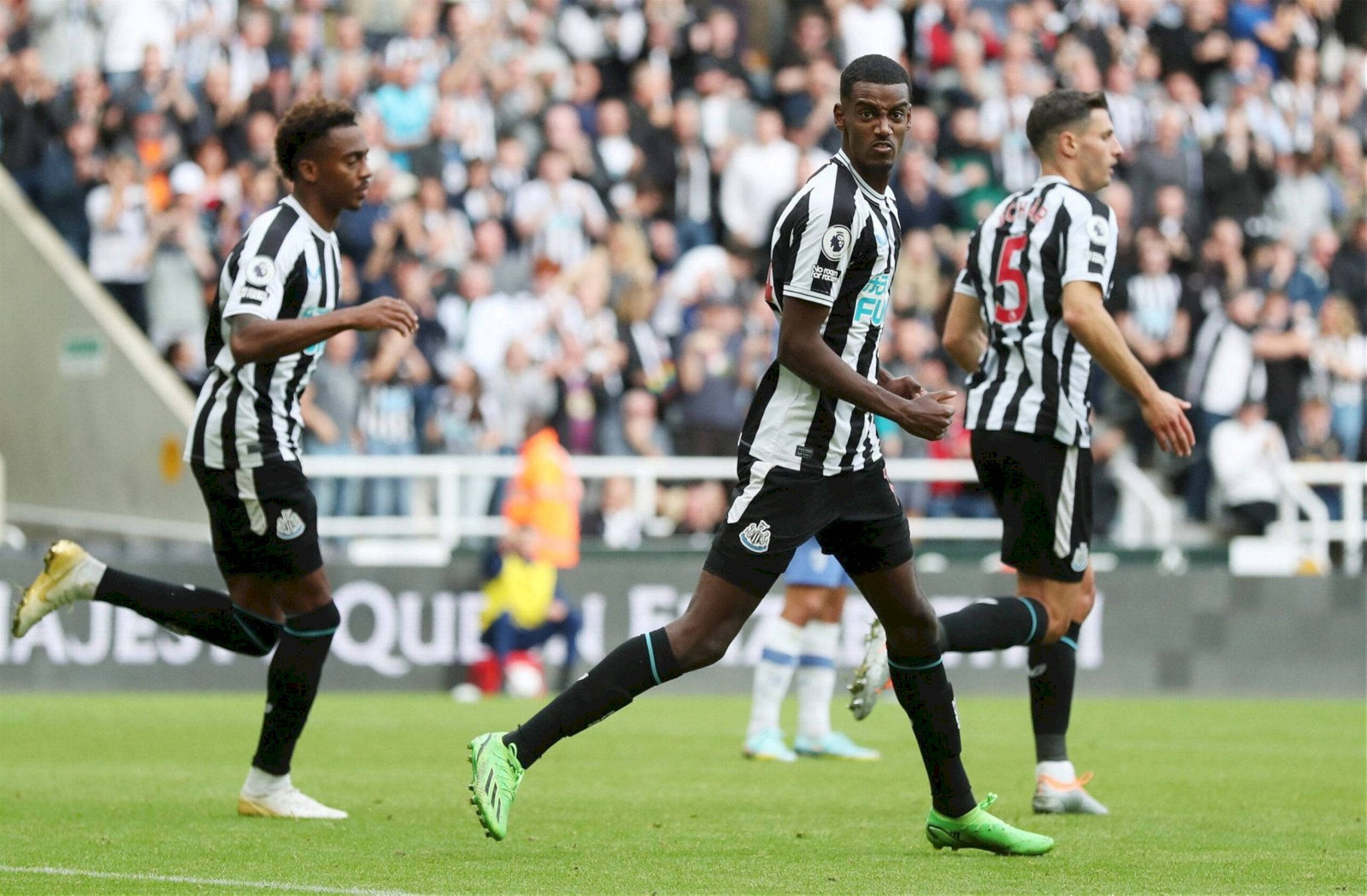 Newcastle United FC, black and white striped kits, green pitch, Full HD Desktop Wallpaper