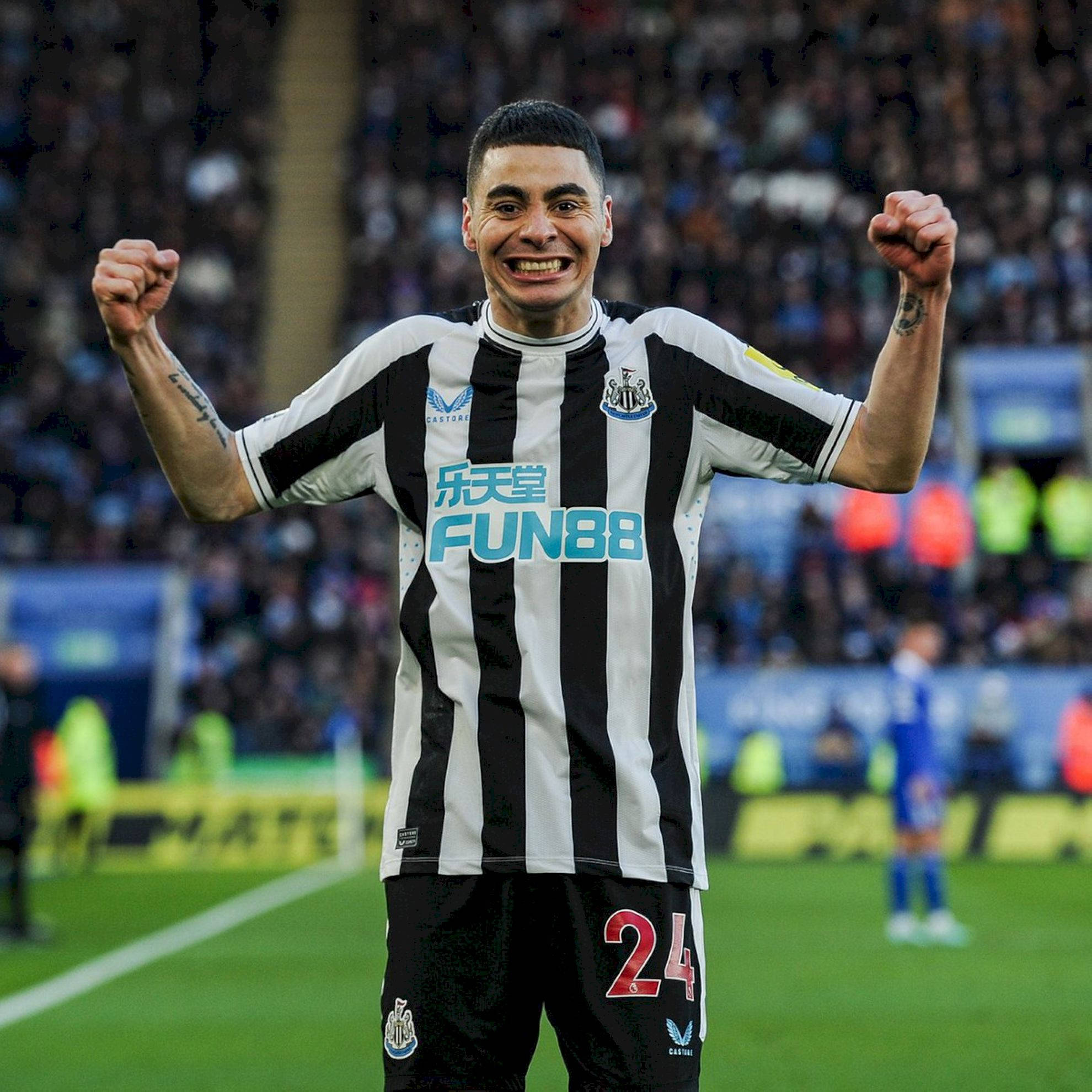 Newcastle United FC, black and white striped jersey, green pitch, Full HD Desktop Wallpaper