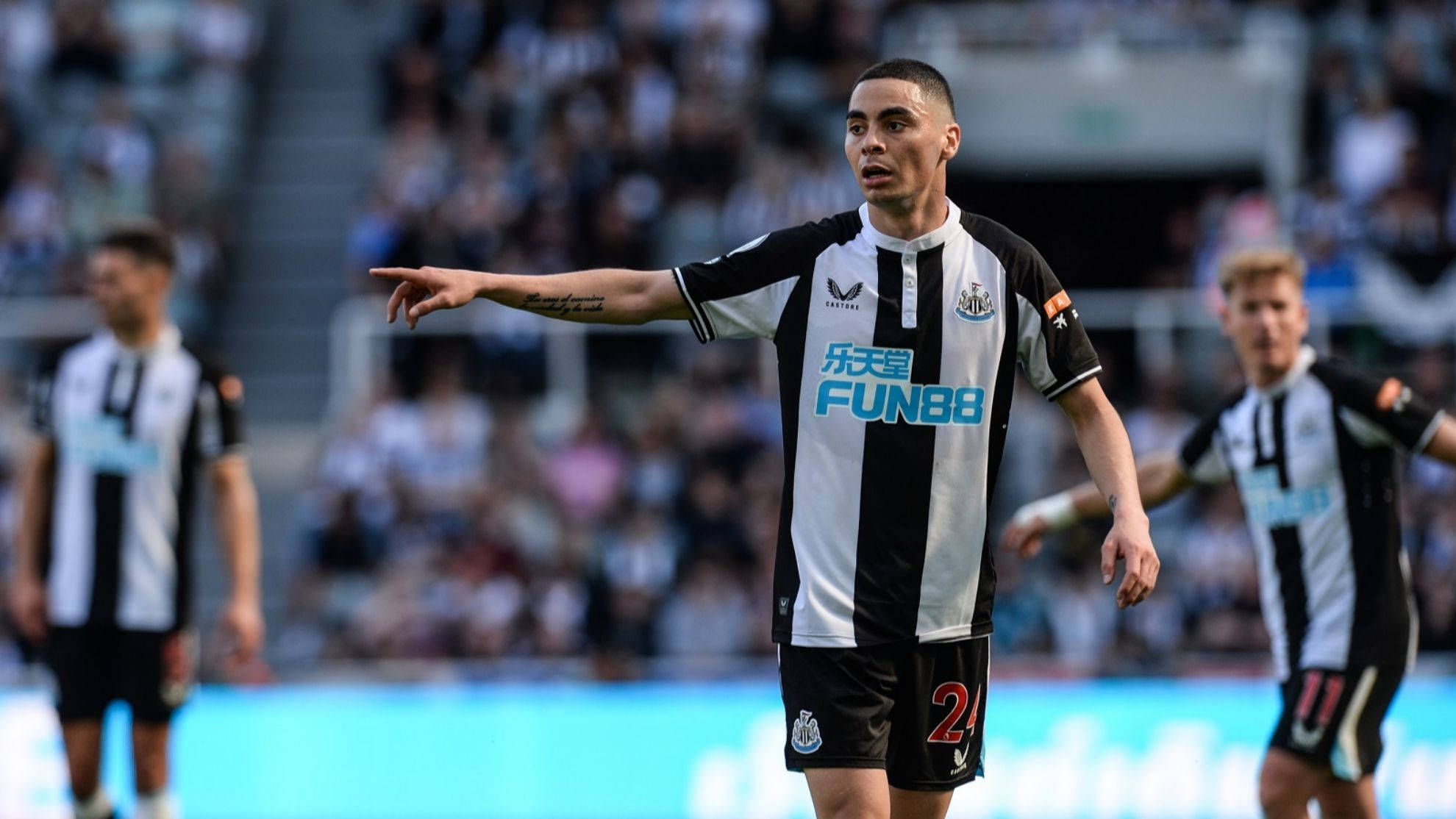 Newcastle United FC, black and white striped jersey, football player, Full HD Desktop Wallpaper