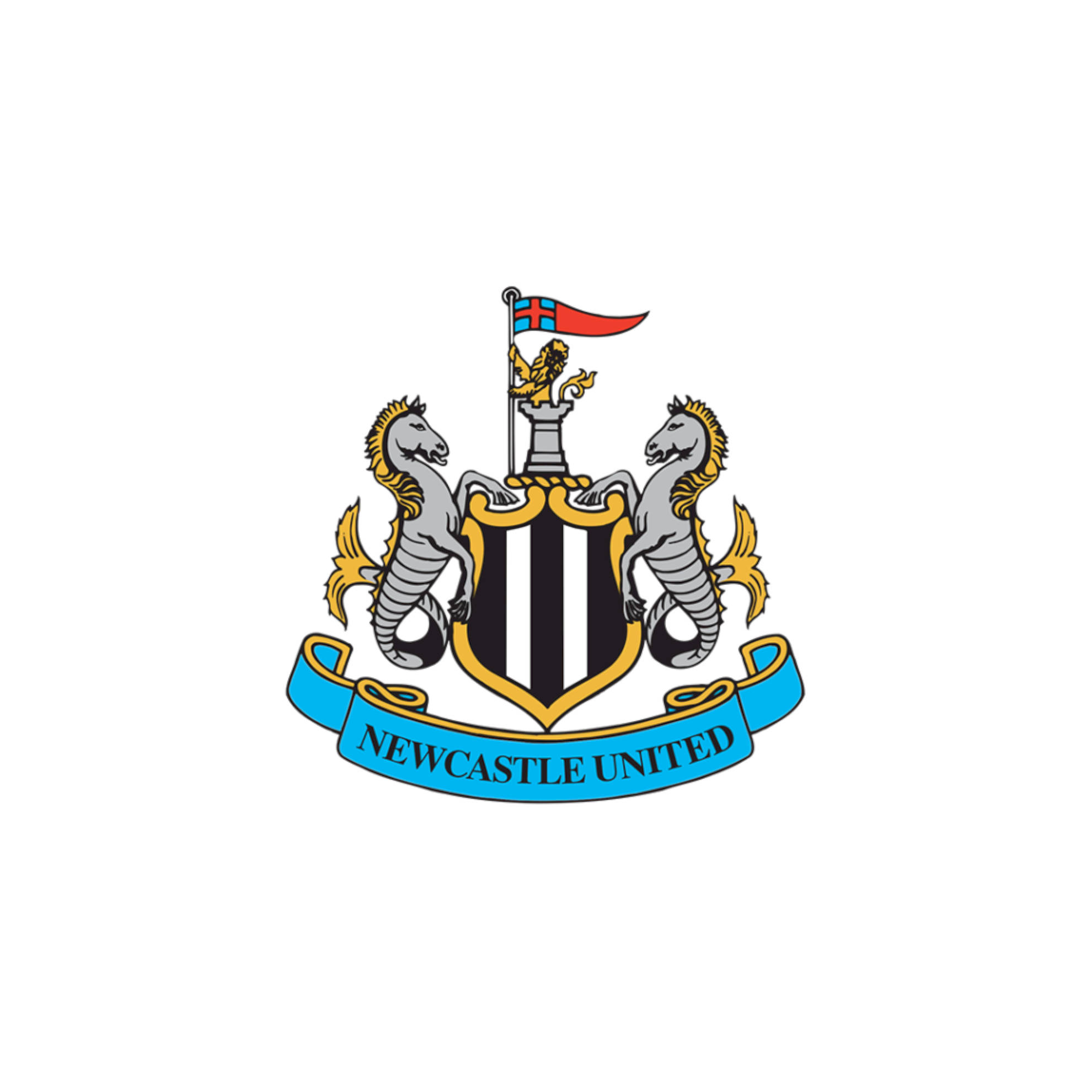 Newcastle United FC, black and white striped shield, grey hippocamps, Full HD Desktop Wallpaper