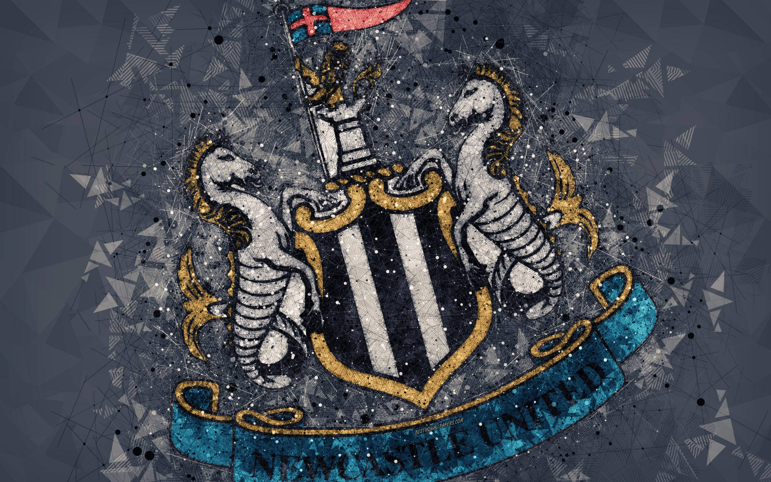 Newcastle United FC, white horses, black and white striped shield, 2K Desktop Wallpaper