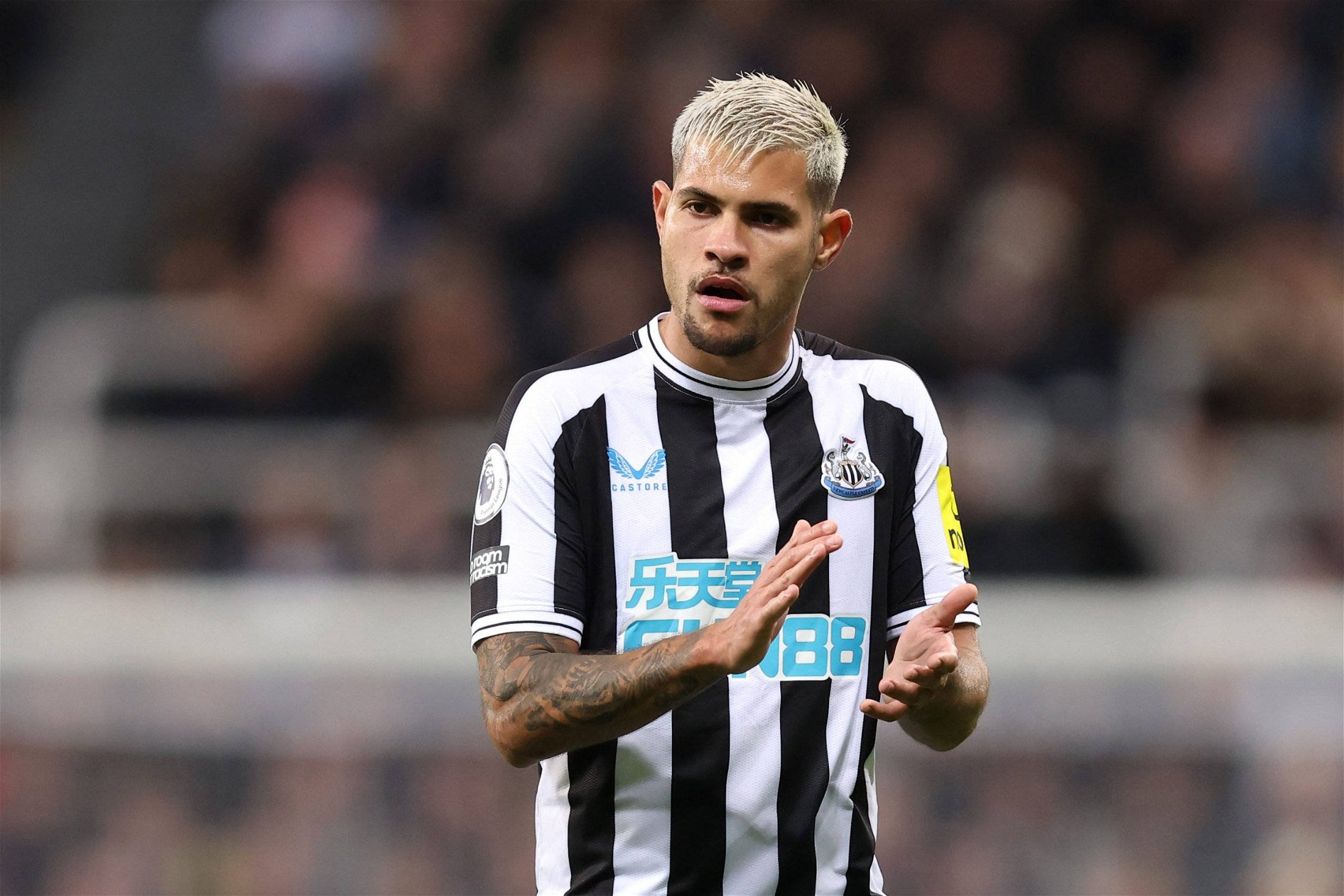 Newcastle United FC, black and white striped jersey, football player, Full HD Desktop Wallpaper