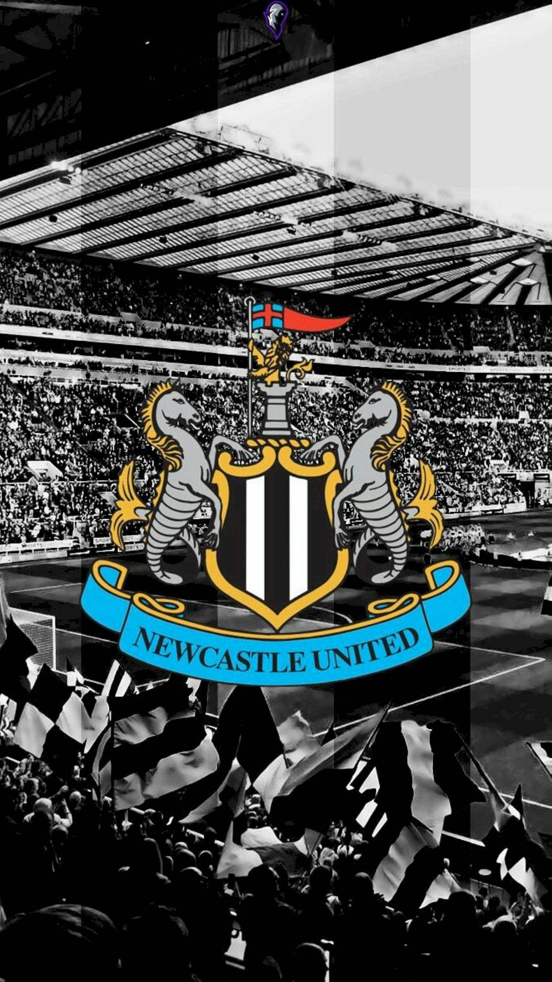 Newcastle United FC, blue and yellow, logo, Full HD Phone Wallpaper