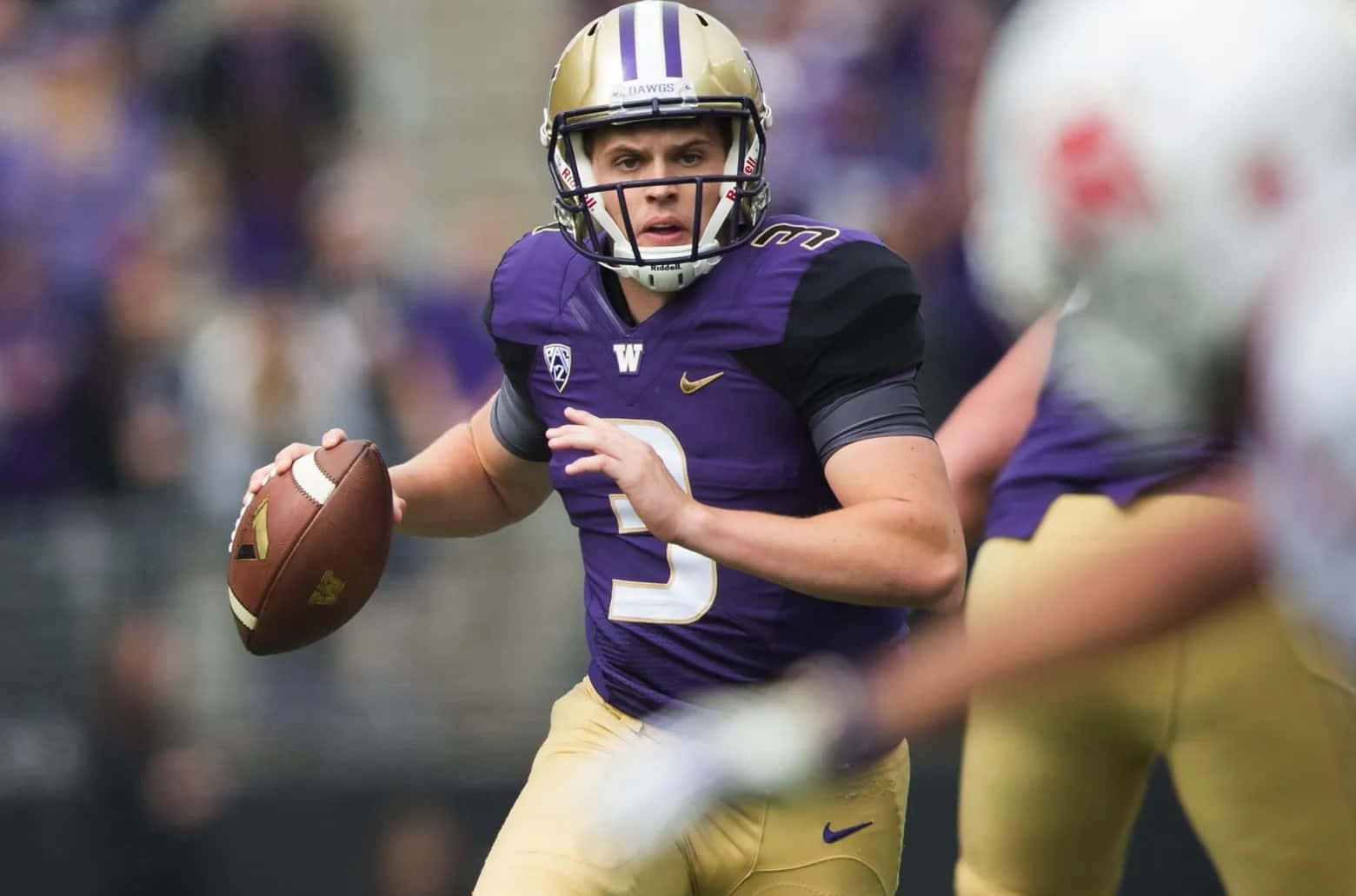 quarterback, purple and gold uniform, football game, HD Desktop Wallpaper