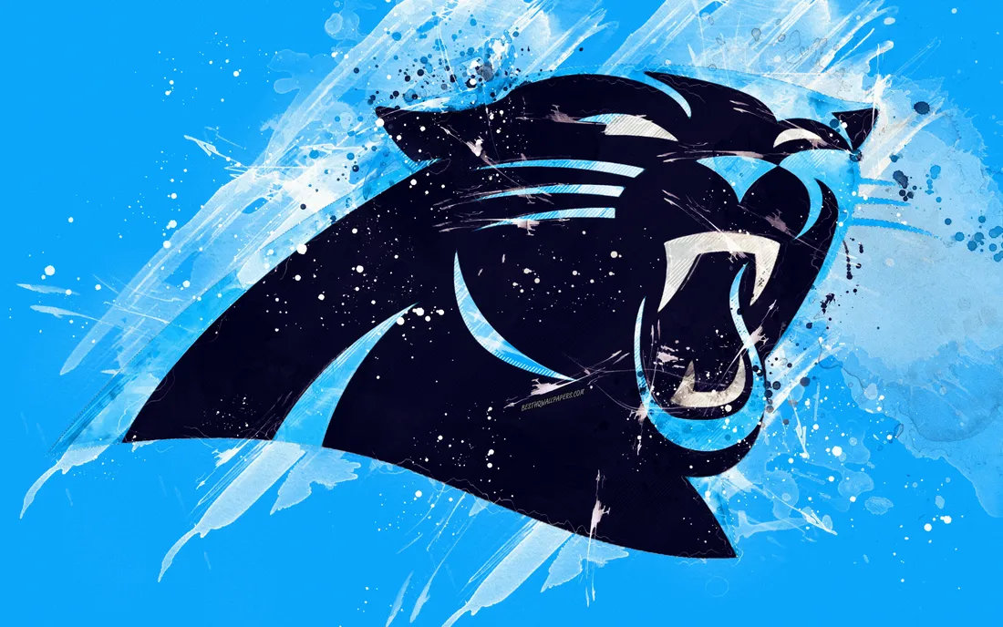 NFL Team Logo
