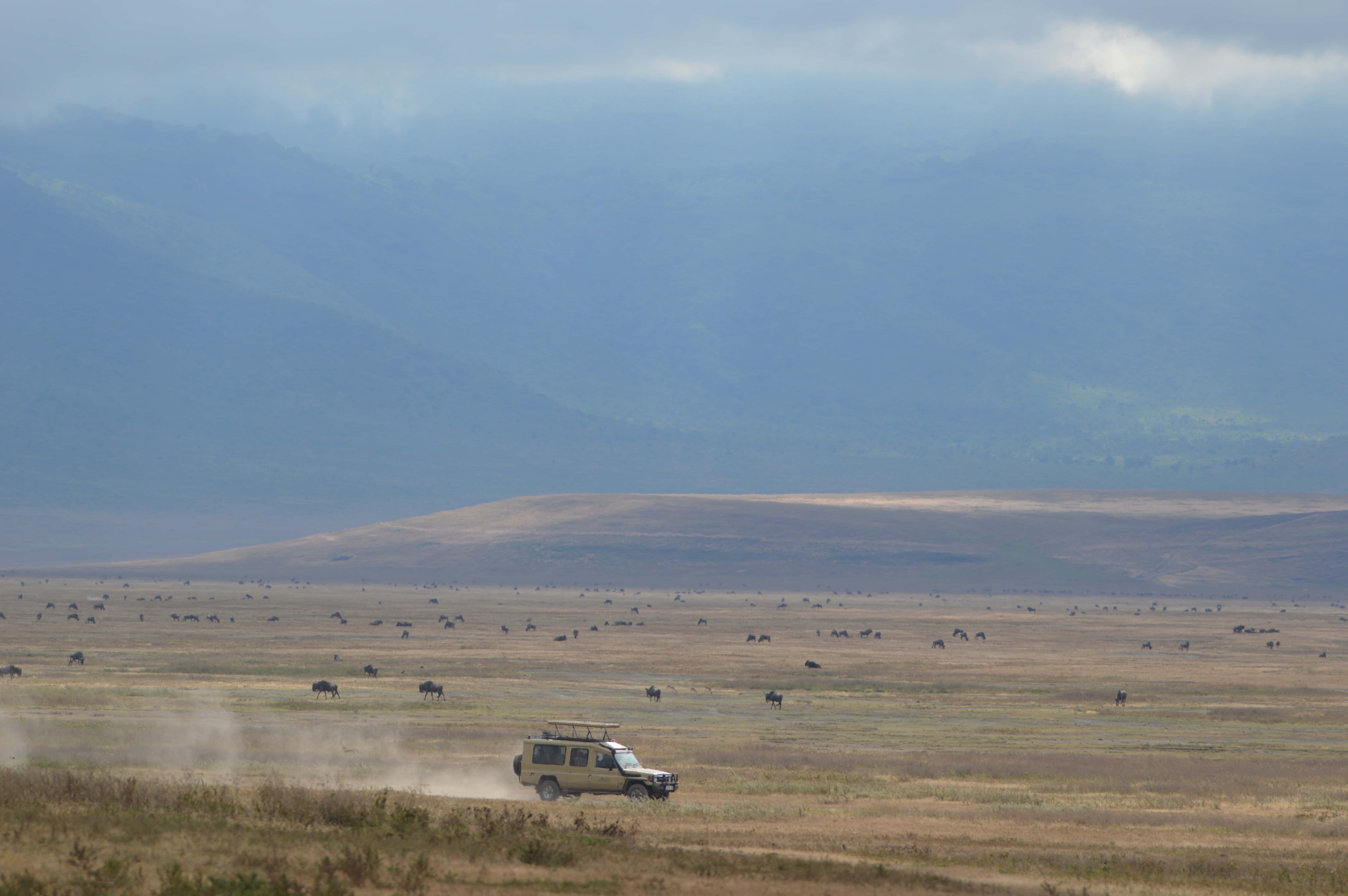 safari vehicle, northern Tanzania, Ngorongoro Crater, 5K Desktop Wallpaper
