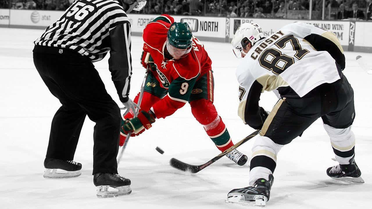NHL, hockey players, puck, HD Desktop Wallpaper