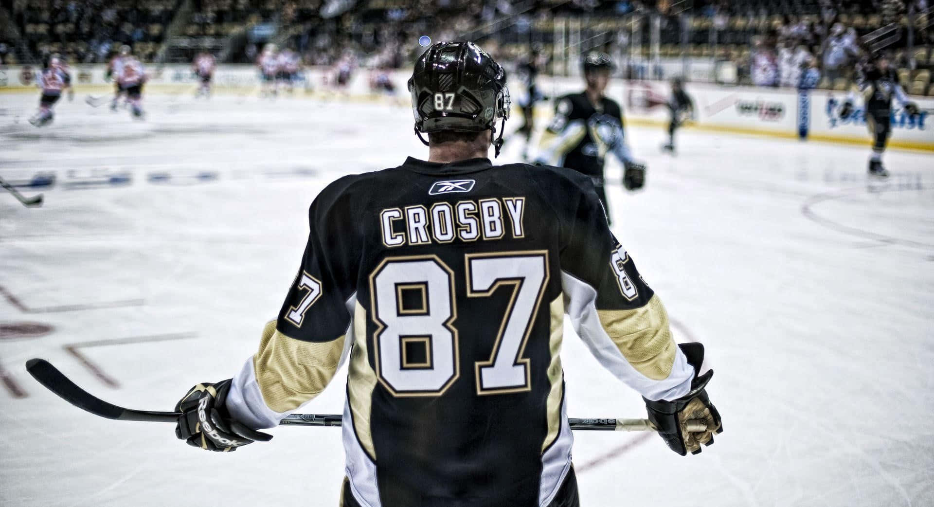 hockey player, number 87, ice, Full HD Desktop Wallpaper