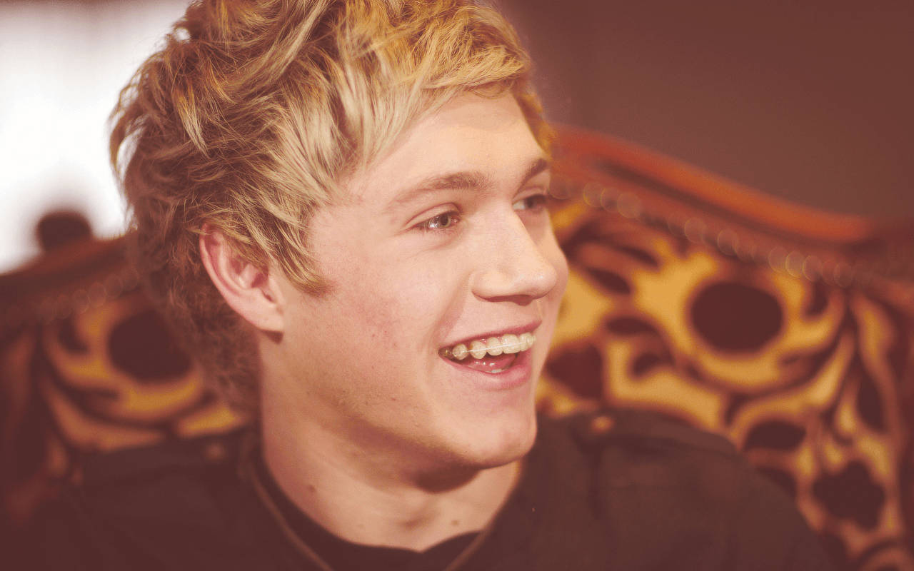 Niall Horan, smile, sofa, HD Desktop Wallpaper