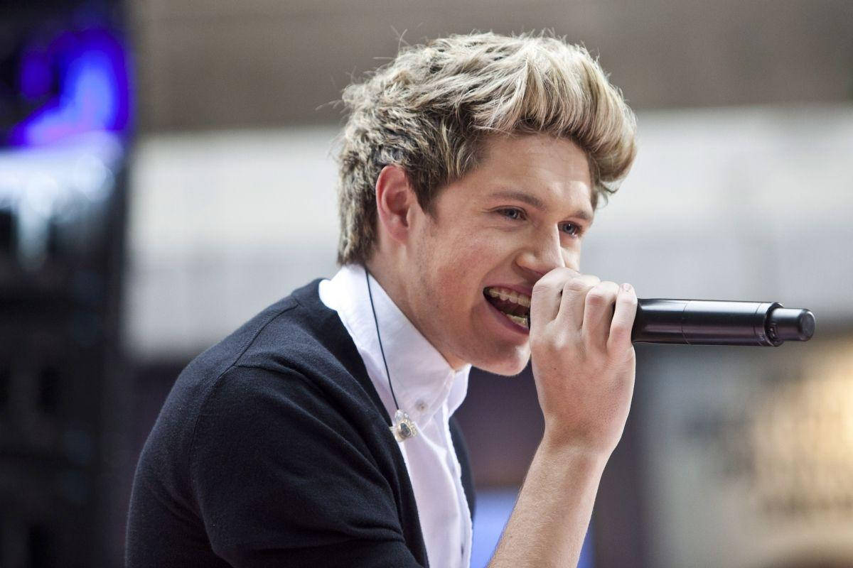 Niall Horan, microphone, outdoor concert, SD Desktop Wallpaper