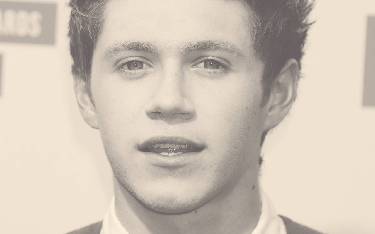 Niall Horan, sepia, close-up portrait, HD Desktop Wallpaper