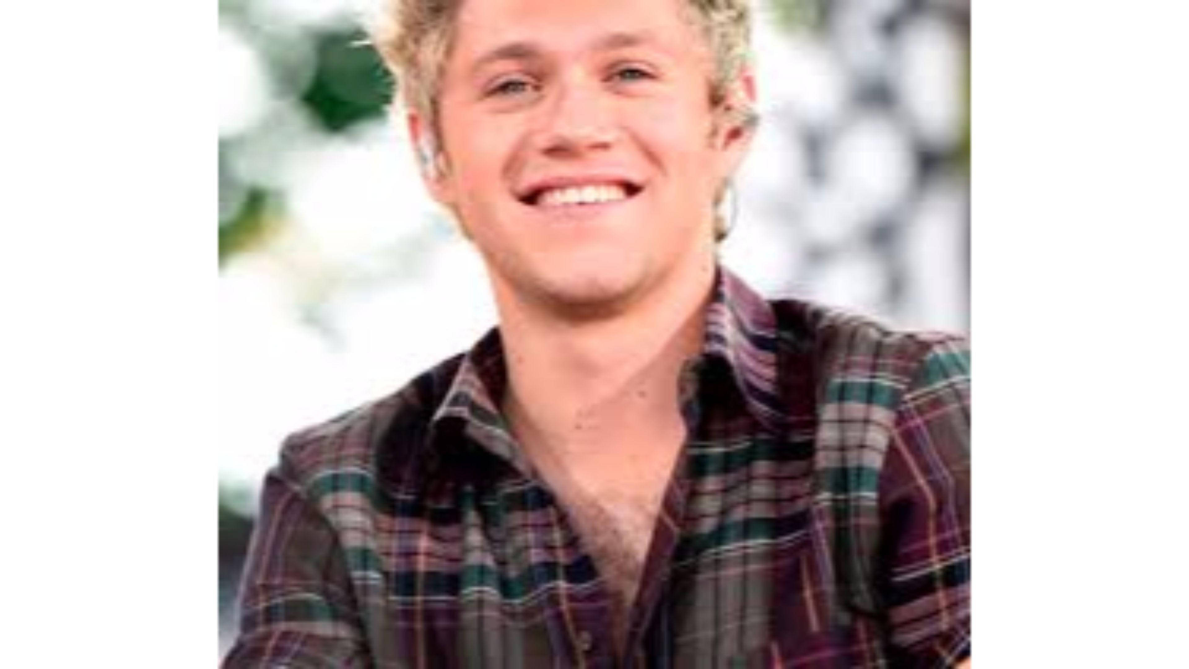 Niall Horan, blond hair, plaid shirt, 4K Desktop Wallpaper