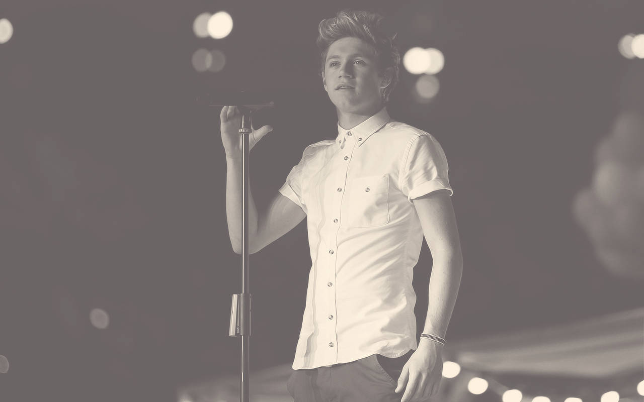 Niall Horan, buttoned shirt, concert, HD Desktop Wallpaper