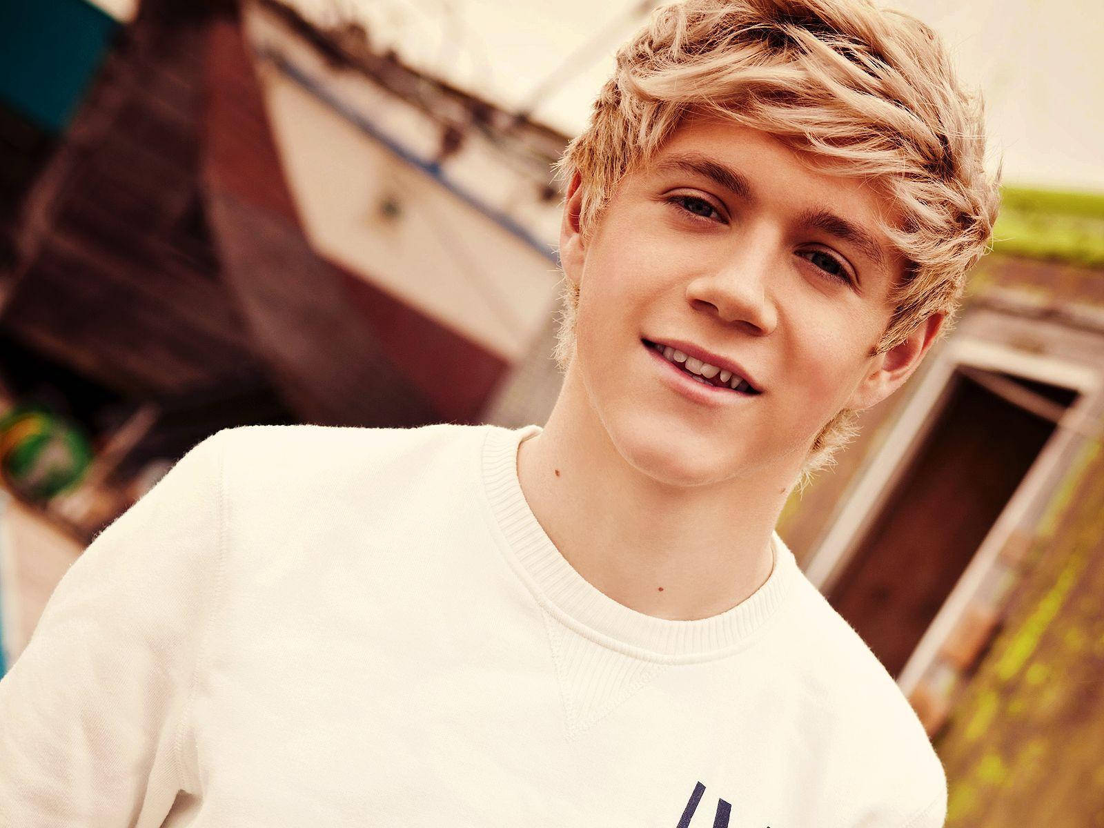 Niall Horan, white crewneck sweater, tousled blonde hair, HD Desktop Wallpaper
