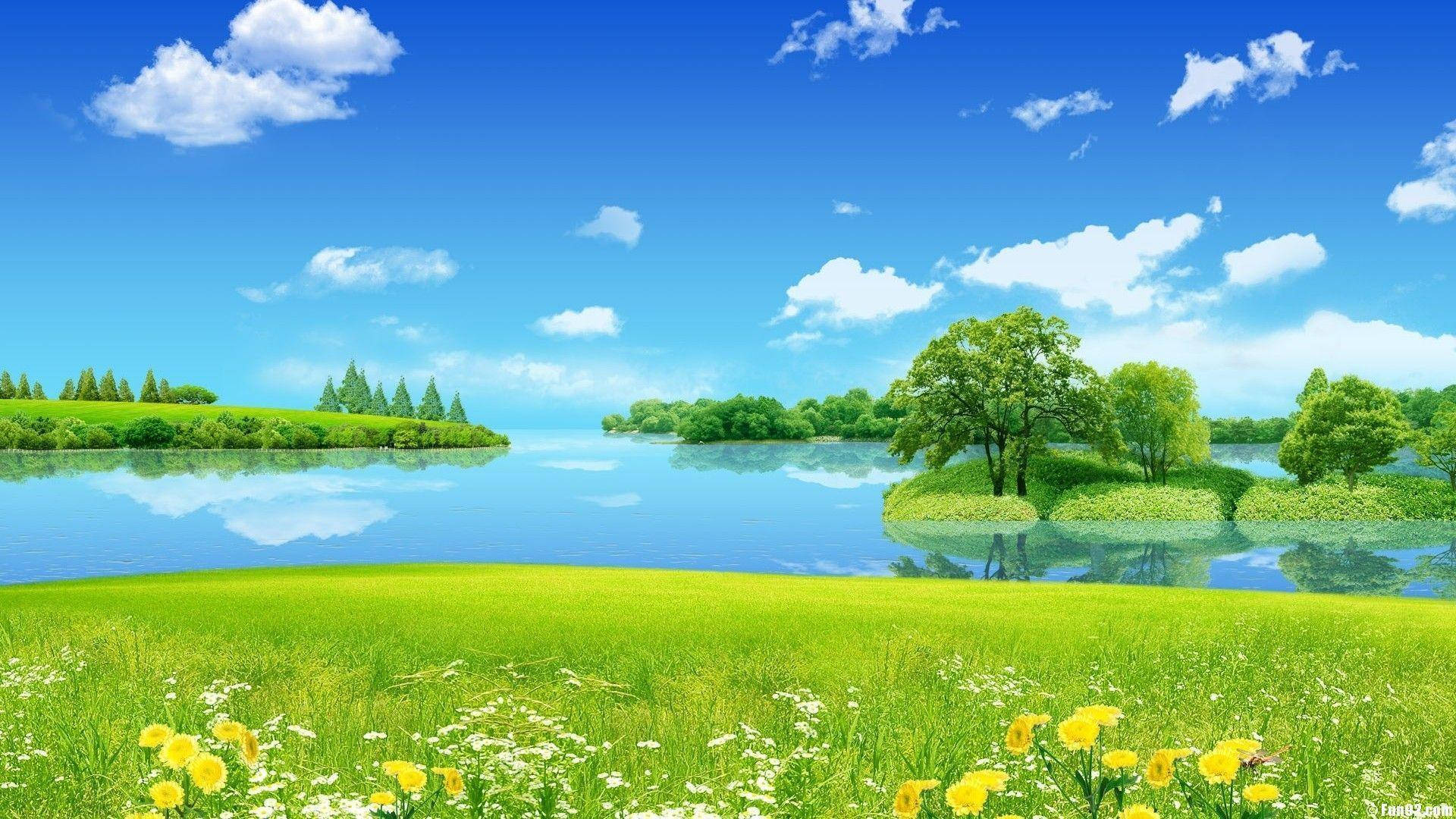 green meadow, yellow and white wildflowers, calm blue lake, Full HD Desktop Wallpaper