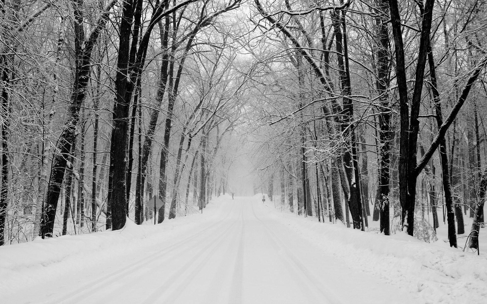 Nice, winter forest, snow-covered road, Full HD Desktop Wallpaper