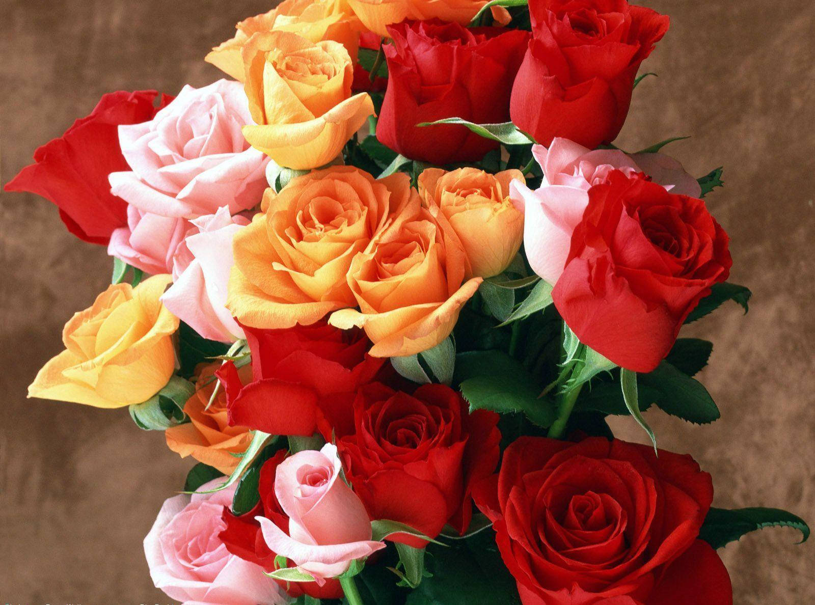 red, orange, pink, HD Desktop Wallpaper