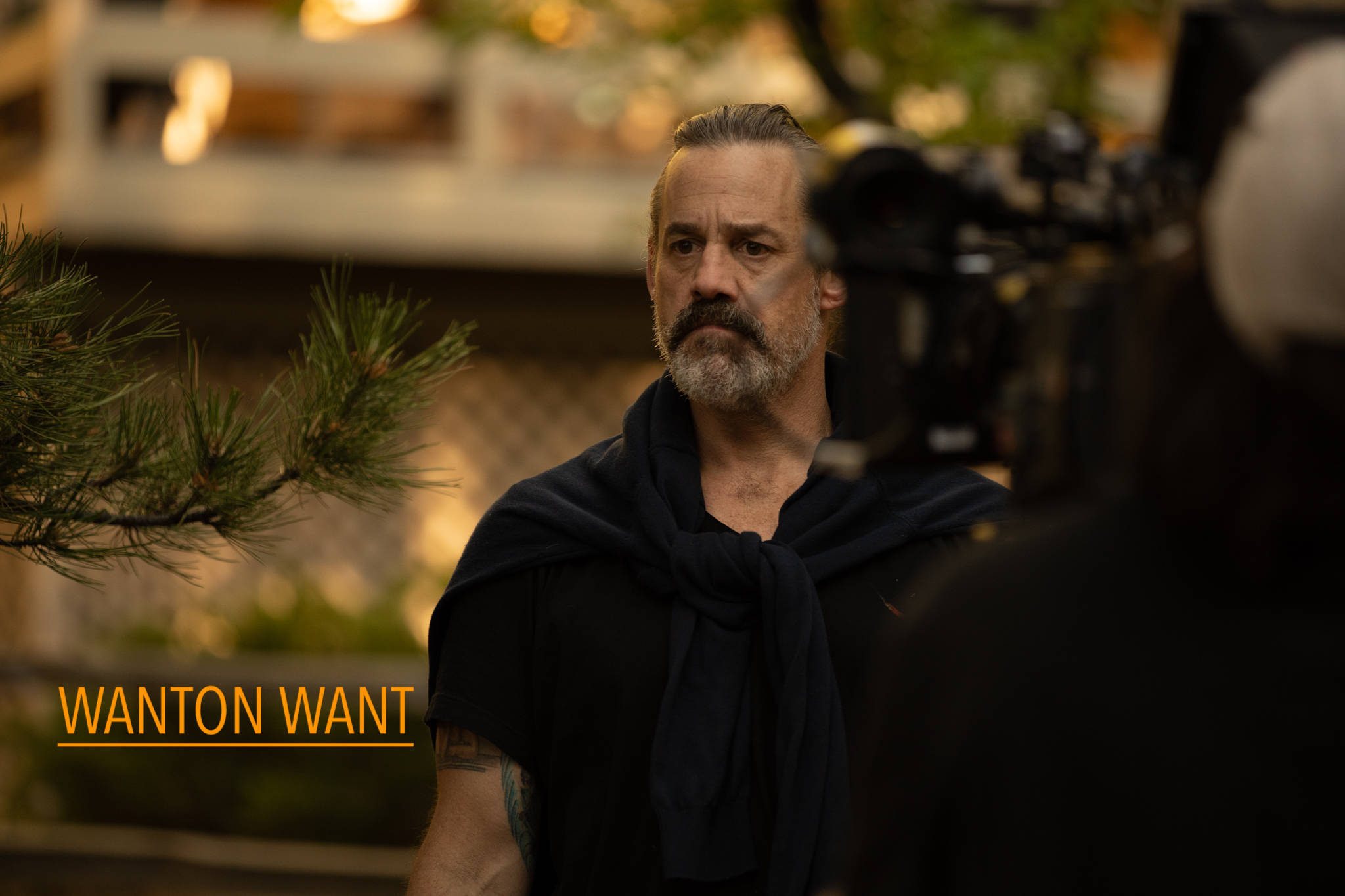 Nicholas Brendon, wanton want, warm evening light, Full HD Desktop Wallpaper