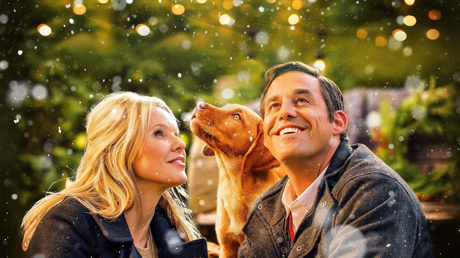 Nicholas Brendon, golden Christmas, golden dog, Full HD Desktop Wallpaper