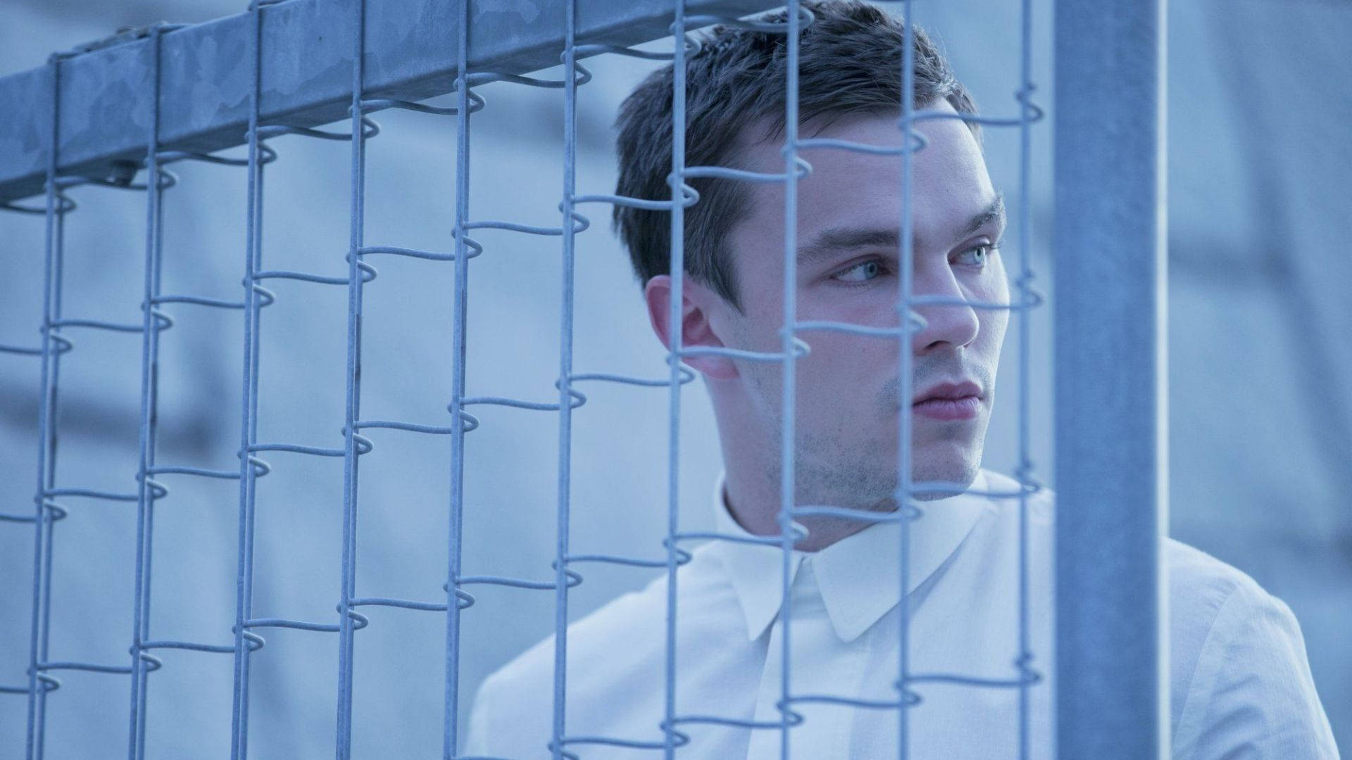 Nicholas Hoult, white shirt, blue-toned wire fence, Full HD Desktop Wallpaper