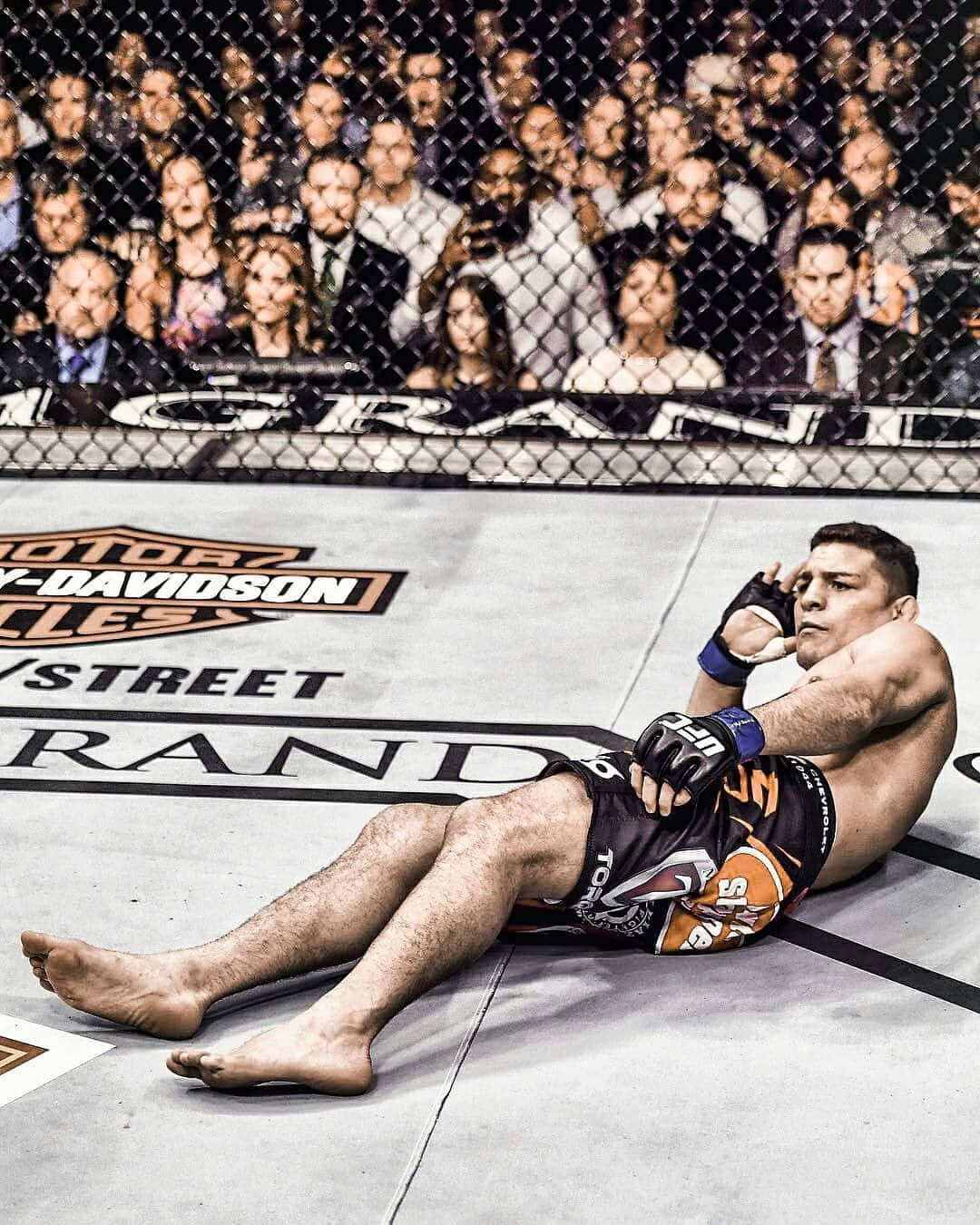 Nick Diaz, octagon floor, spectators, HD Phone Wallpaper