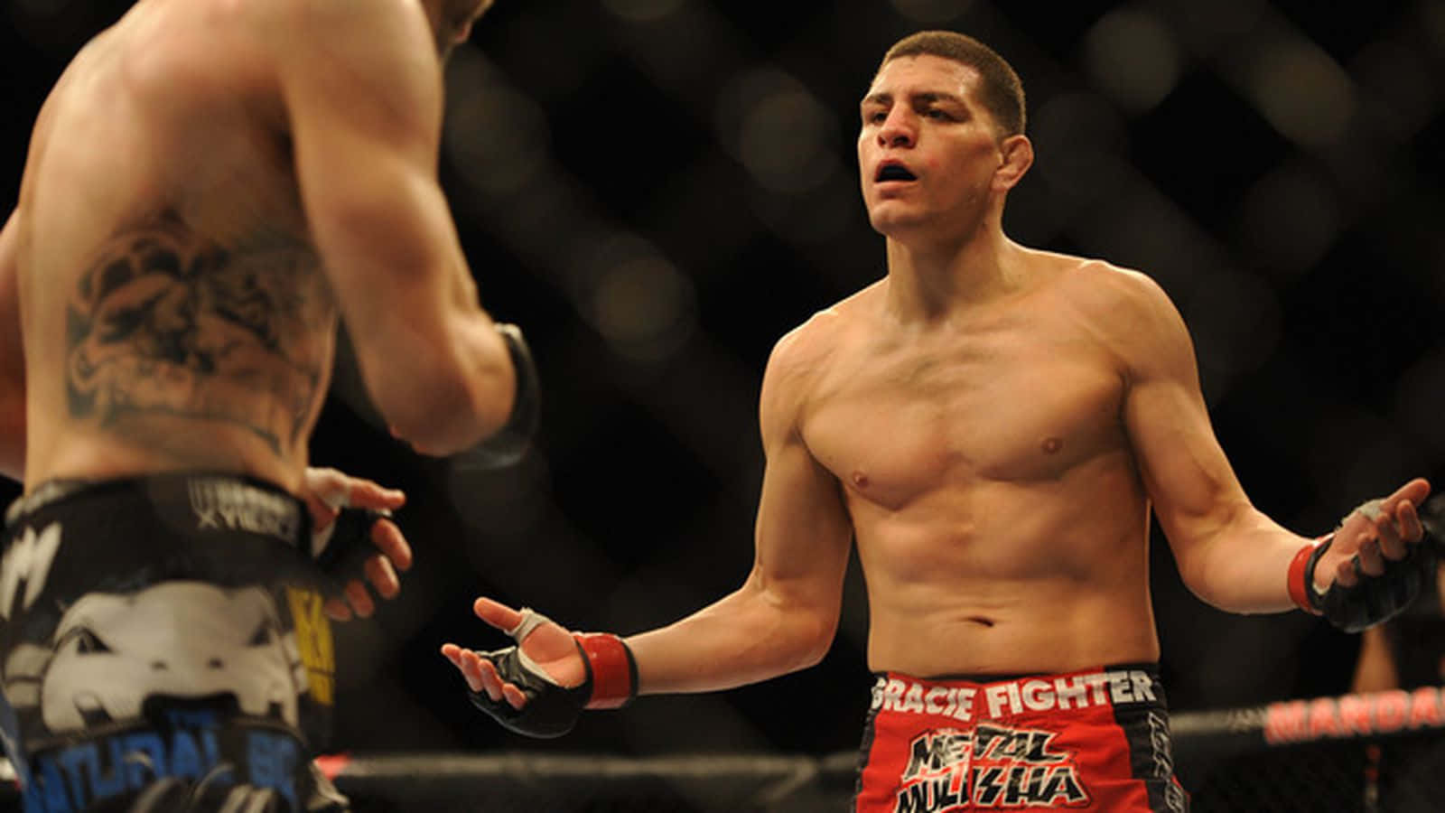 Nick Diaz, MMA fighters, octagon, HD Desktop Wallpaper