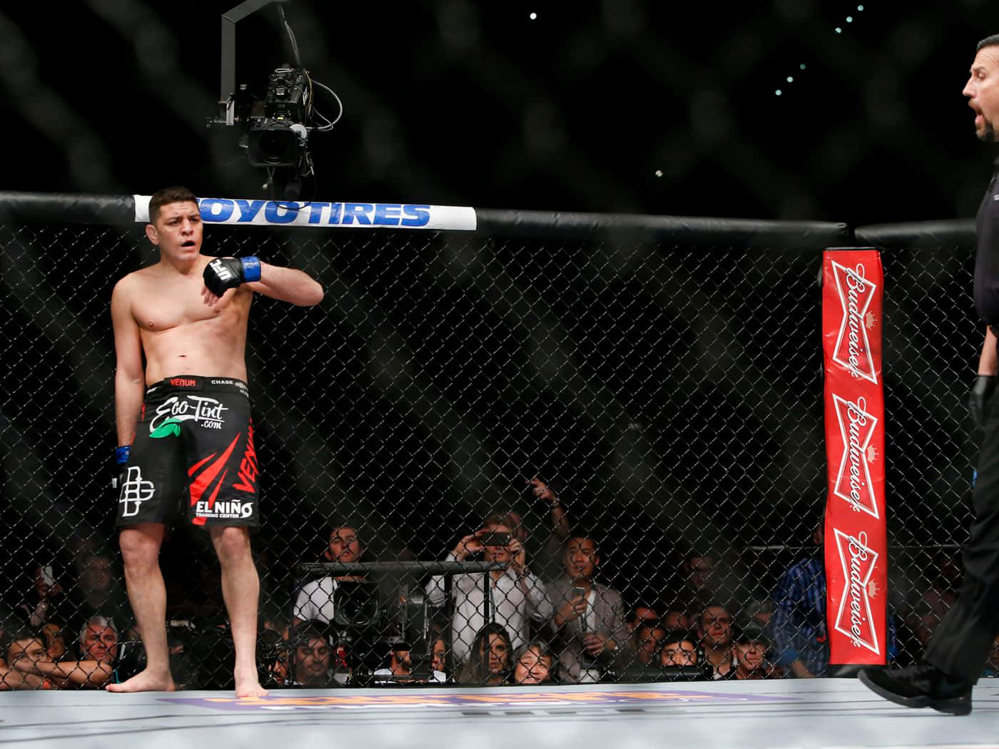 Nick Diaz, octagon cage, referee, HD Desktop Wallpaper