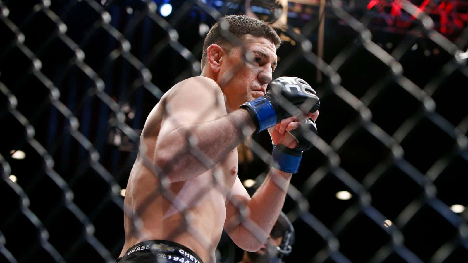 Nick Diaz, blue gloves, octagon cage, HD Desktop Wallpaper