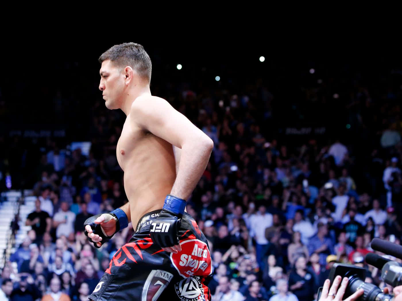 Nick Diaz, mixed martial artist, crowded arena, HD Desktop Wallpaper