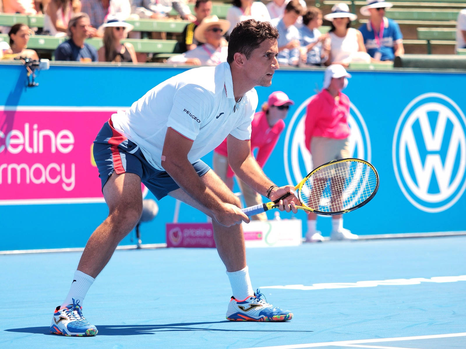 Nicolas Almagro, white shirt, blue shorts, HD Desktop Wallpaper