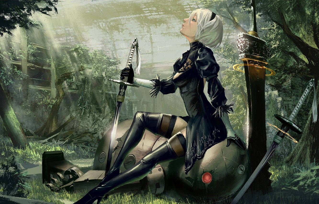 2B, Nier Automata, silver-haired, HD Desktop Wallpaper