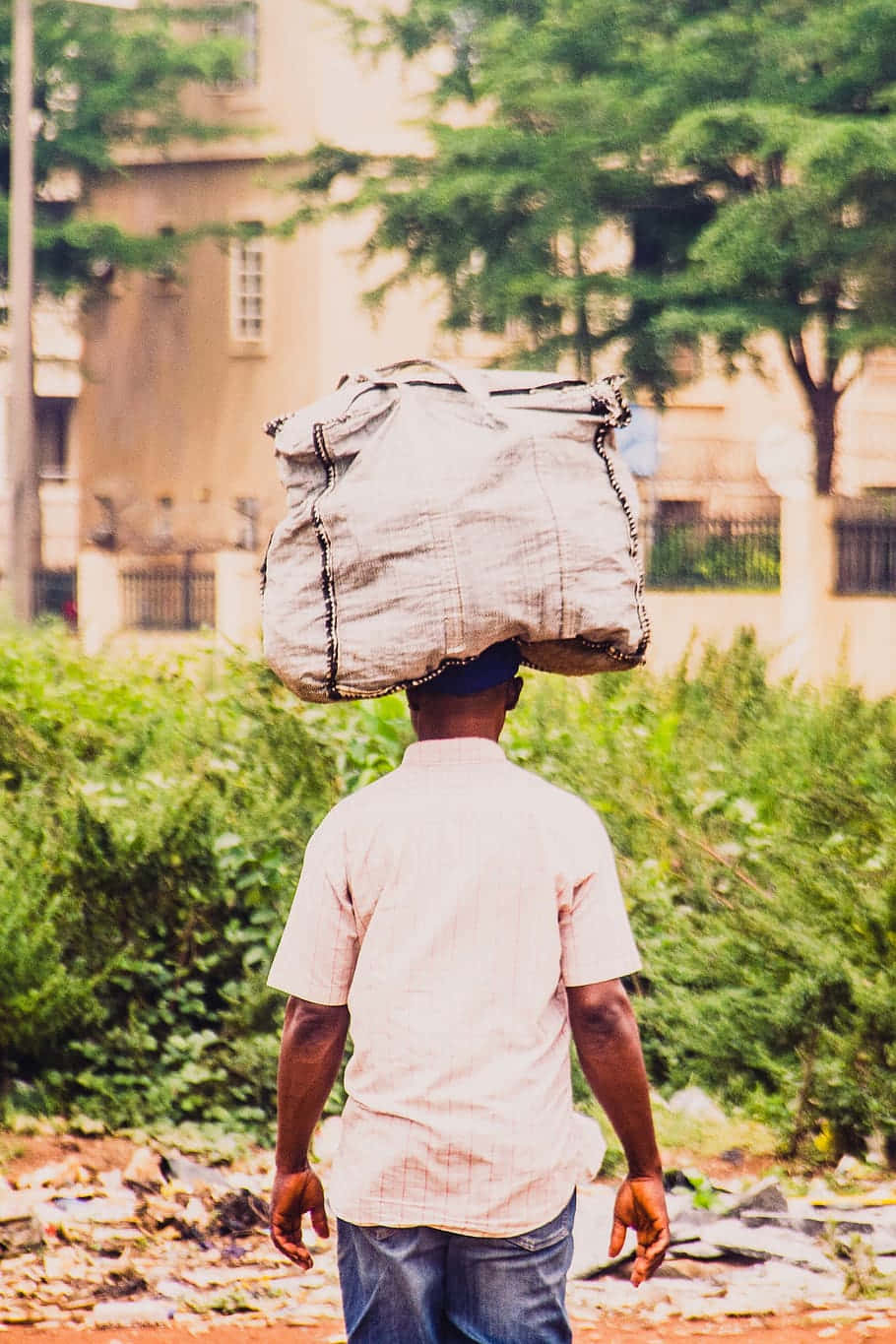 Nigerian Man, large sack, green urban alleyway, HD Phone Wallpaper