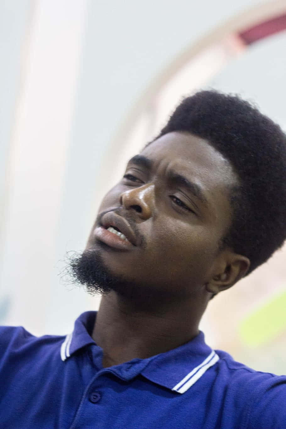 Nigerian Man, blue polo shirt, beard, HD Phone Wallpaper