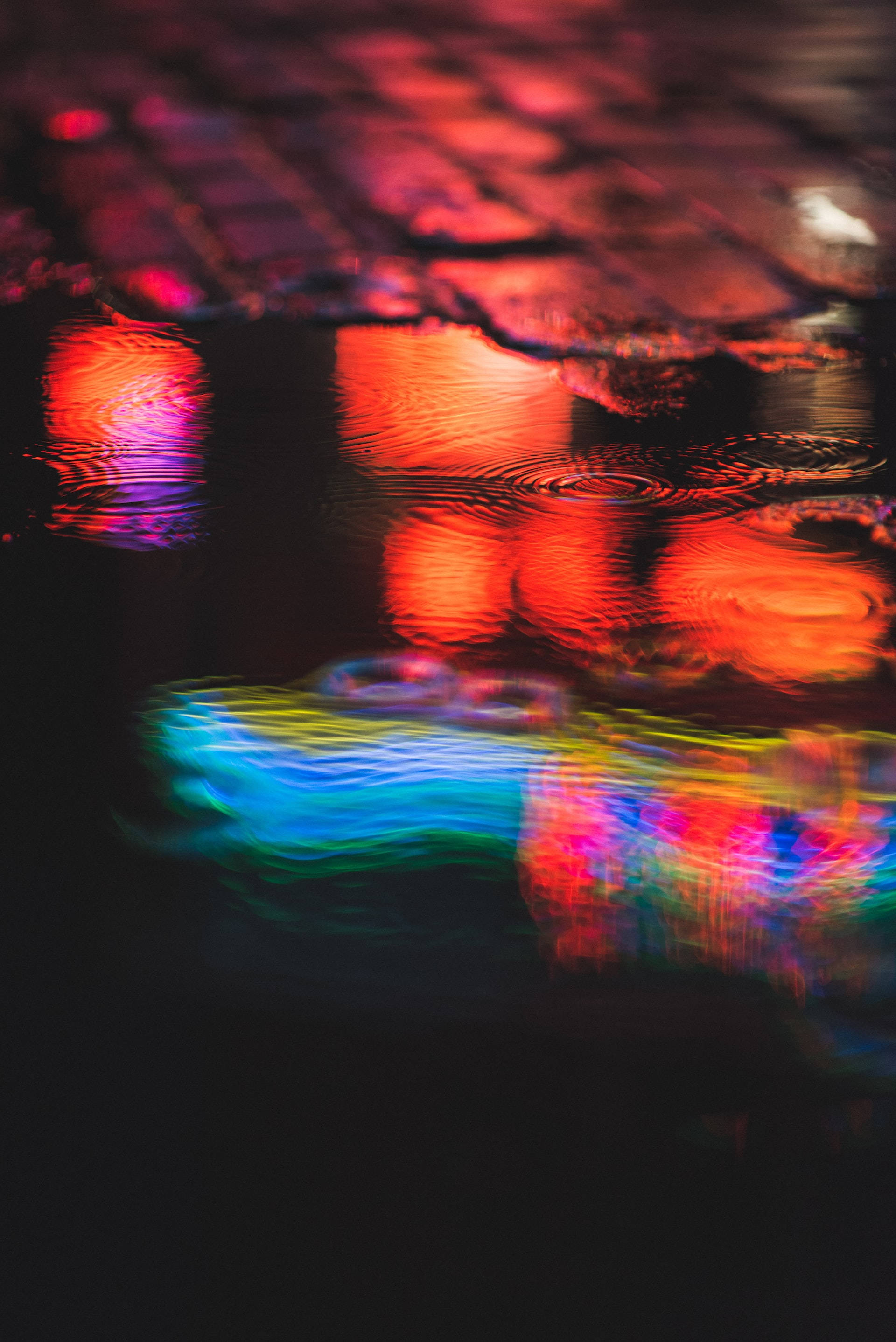 neon lights, rain-slicked urban pavement, vibrant night colors, 2K Phone Wallpaper