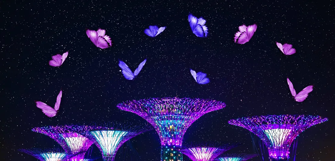 Night Butterfly