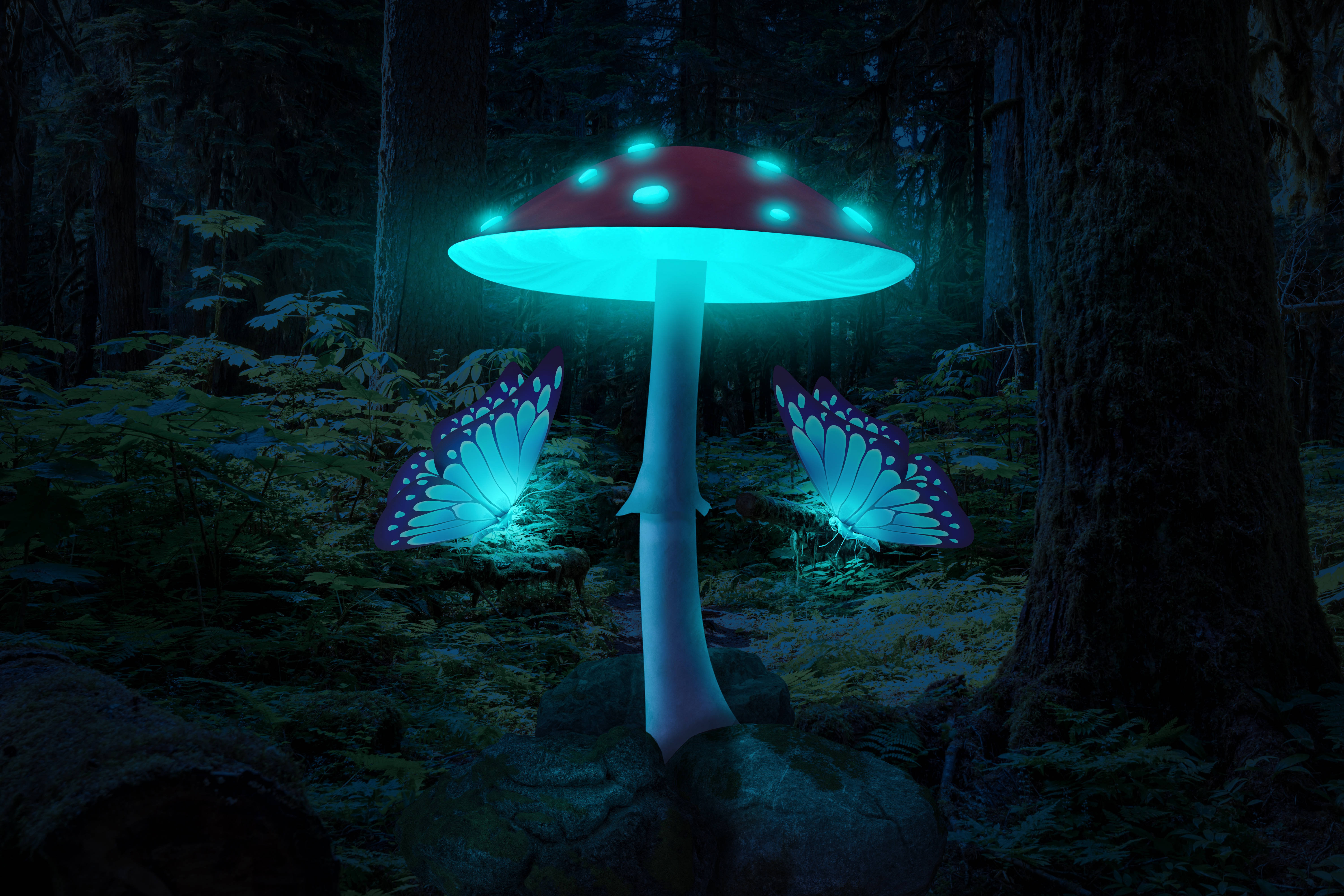 glowing red and blue mushroom, luminous butterflies, dark enchanted forest, 5K Desktop Wallpaper