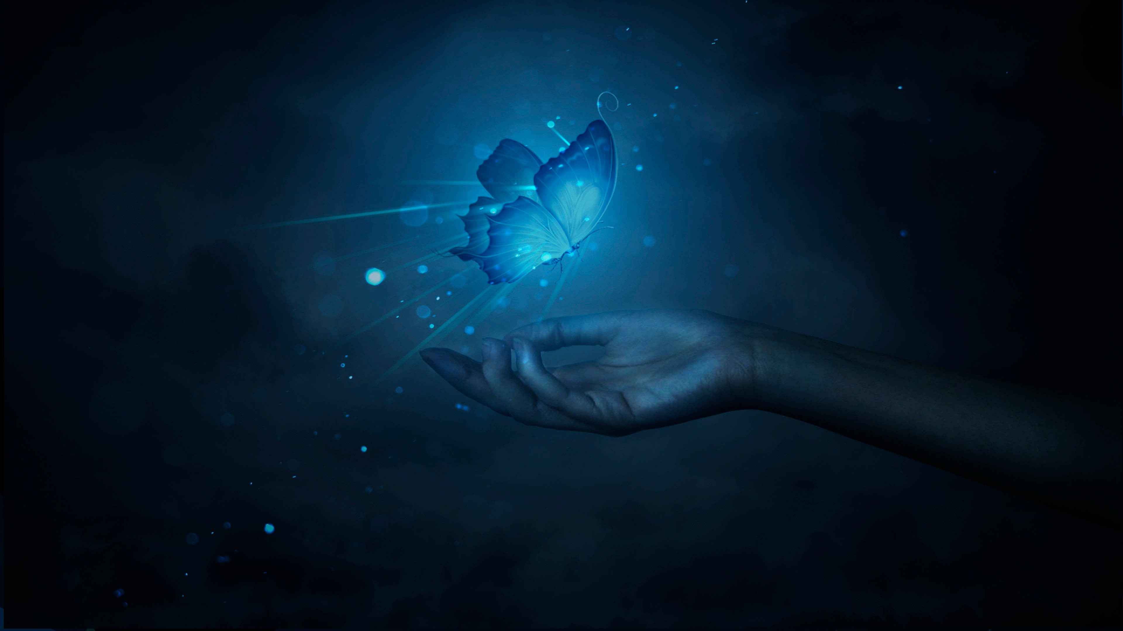Blue Night Butterfly, glowing blue butterfly, outstretched hand, 4K Desktop Wallpaper