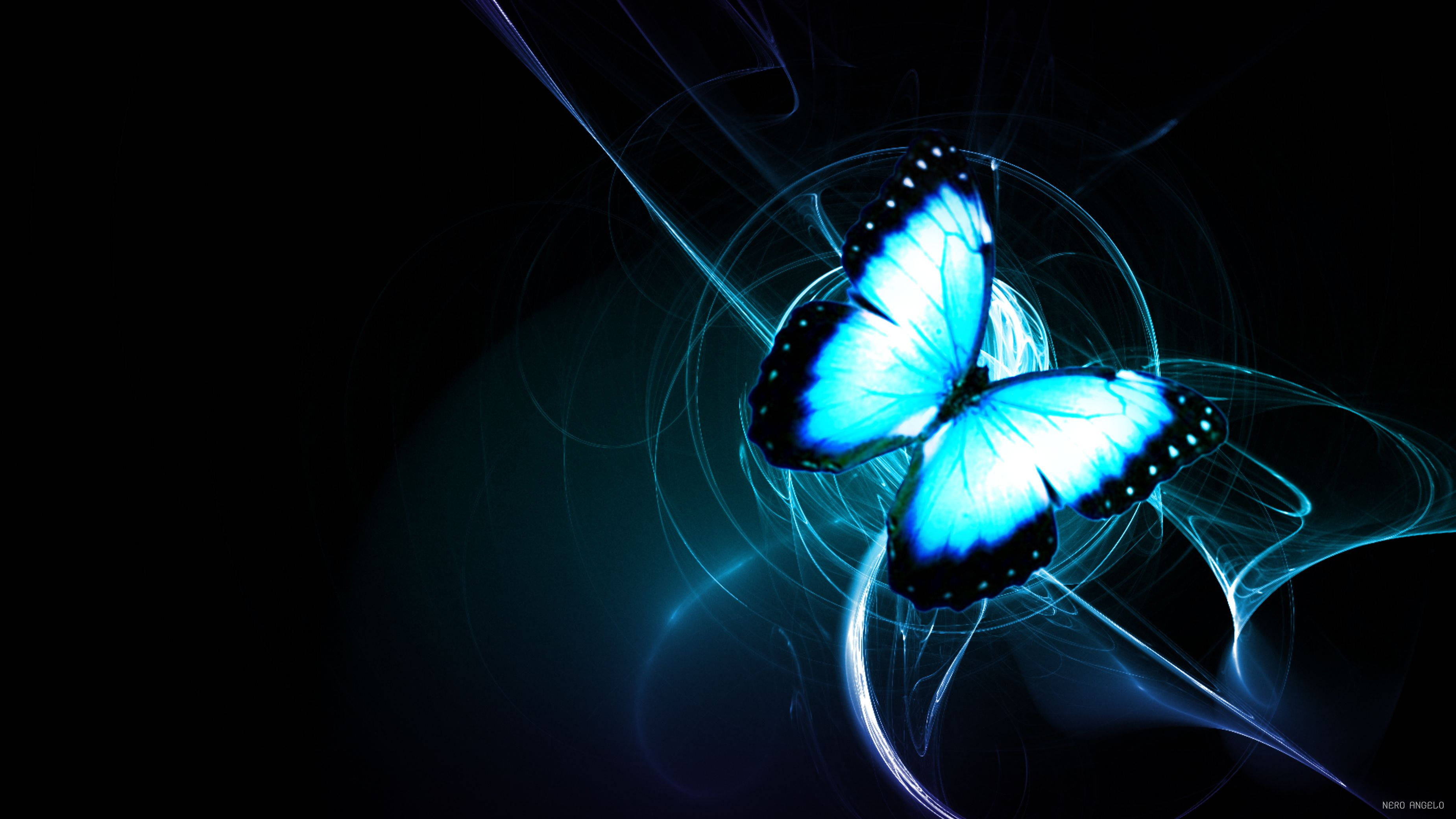 Neon Blue Night Butterfly, glowing blue butterfly, black spots, 2K Desktop Wallpaper