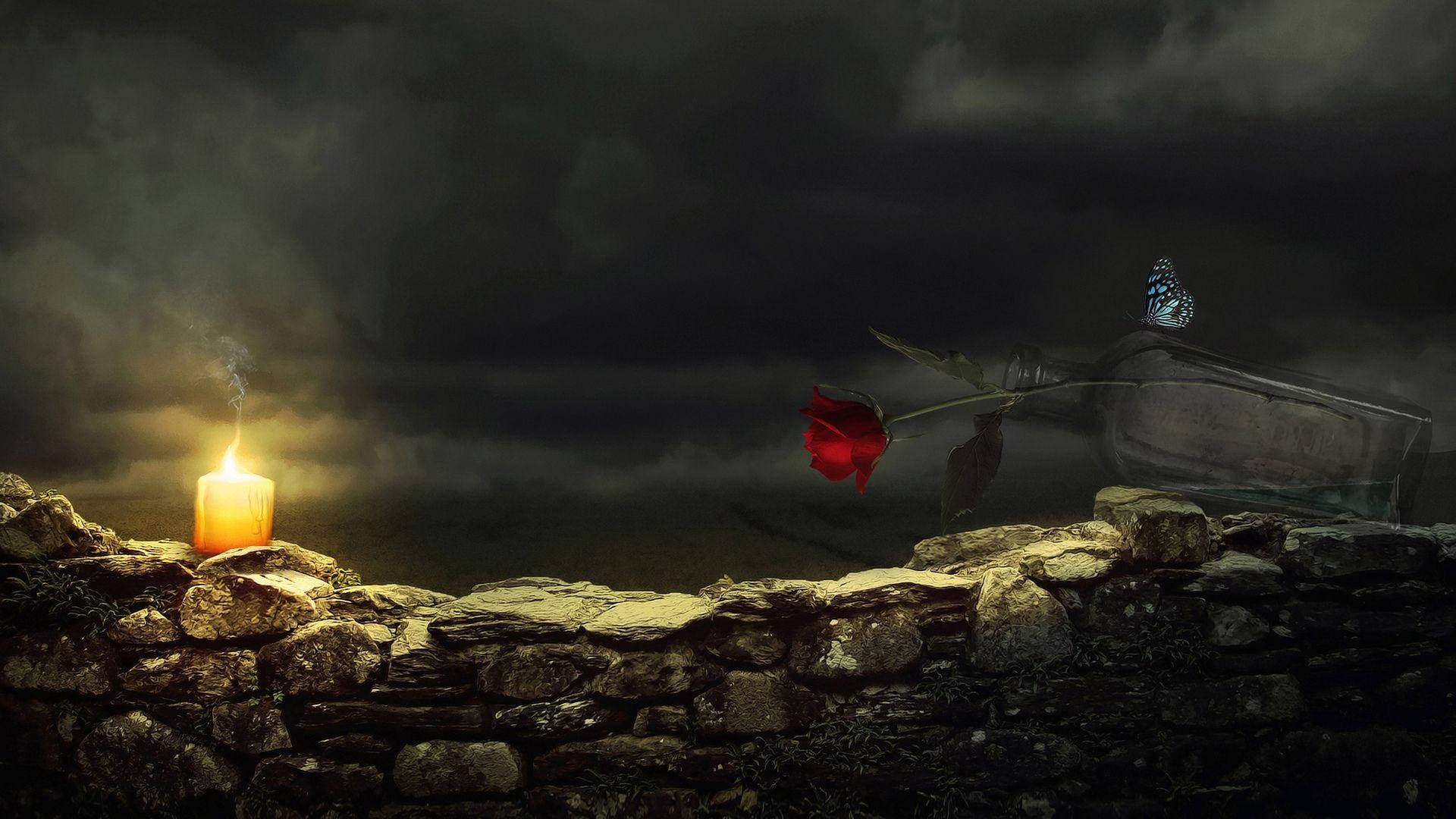 Night Butterfly, red rose, butterfly, Full HD Desktop Wallpaper