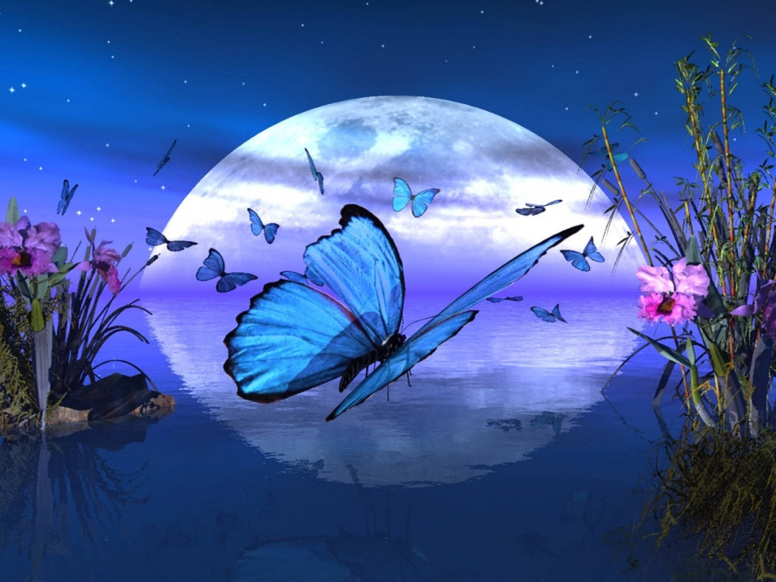 Moon Night Butterfly, luminous blue butterfly, moonlit pond, 2K Desktop Wallpaper