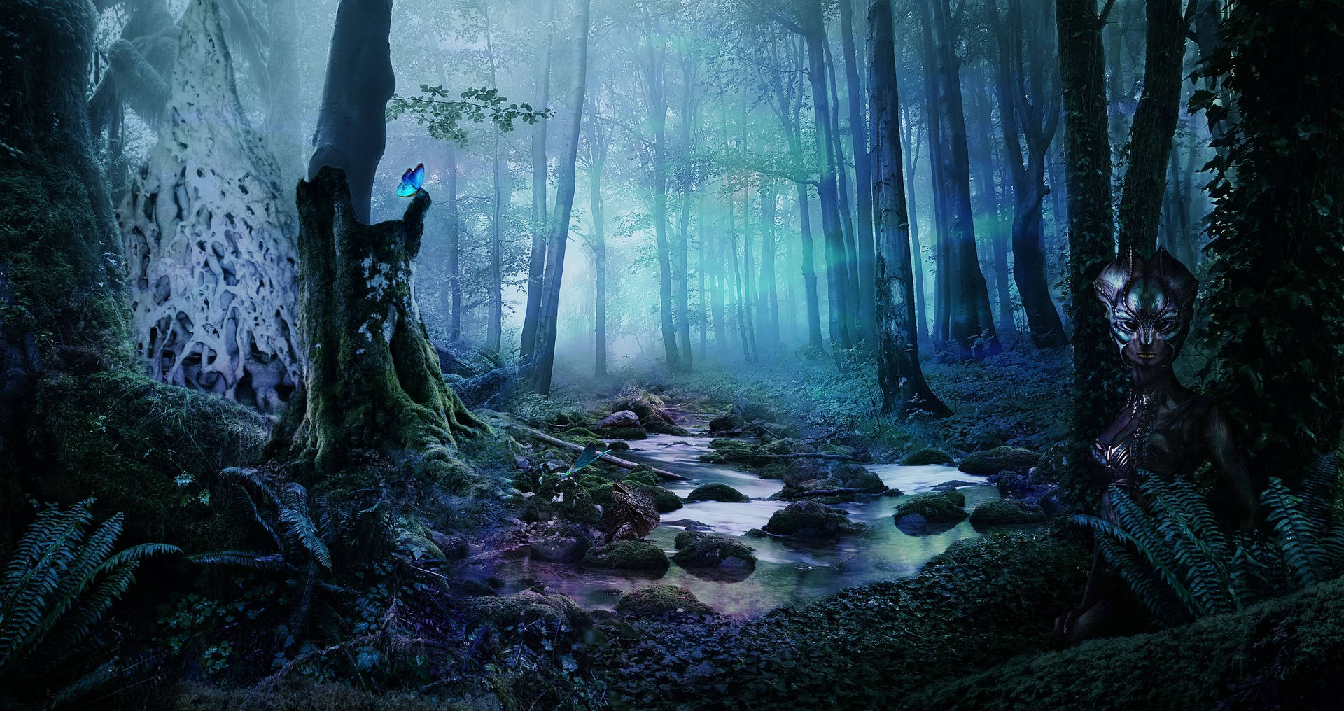 Night Butterfly, gloomy forest, ethereal blue light, Full HD Desktop Wallpaper